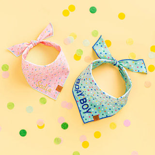 Sprinkles Dog Bandana - JSQ Mercantile