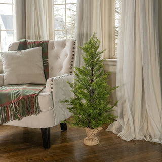 37" Cedar Tree with burlap-wrapped base on display | JSQ Mercantile – Women’s Boutique & Gift Shop in La Grange, IL