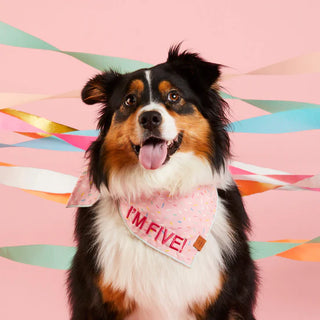 Sprinkles Dog Bandana - JSQ Mercantile