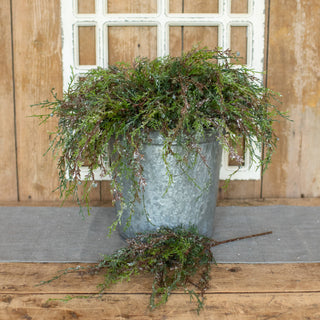 17" Weeping Cedar Pick with Snow