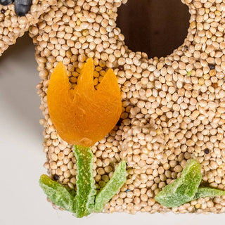 Spring Fruit Cottages – Decorative Bird Seed Houses (Assorted Styles)