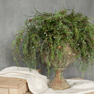 17" Weeping Cedar Pick with Snow