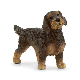 Wire-Haired Dachshund - New Schleich Design for 2024 - JSQ Mercantile