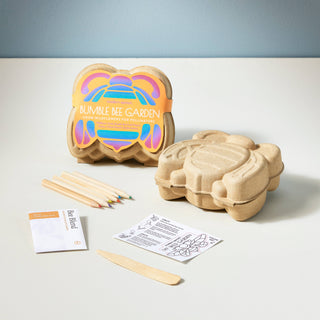 Curious Critters Activity Kit: Butterfly - JSQ Mercantile