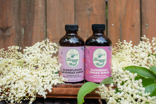 Elderberry Ginger Shrub – Spiced Botanical Vinegar Elixir (8 oz)