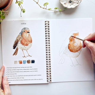Open book with a robin illustration and painting activity, surrounded by plants on a white surface.