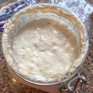 Sourdough Starter - JSQ Mercantile