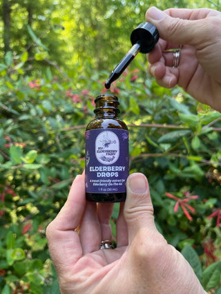 Elderberry Immune Drops – Organic Sambucus Extract (1 oz)