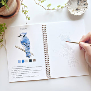 Open book with a blue jay illustration and color swatches, hand holding a paintbrush.