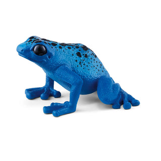 Blue Poison Dart Frog - JSQ Mercantile