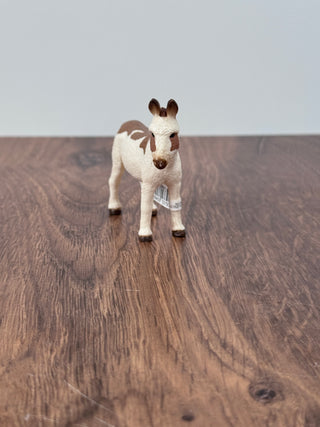 American Spotted Donkey