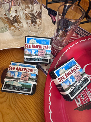 Vintage National Park Poster Drink Coaster Set