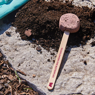 Pollinator Seed Pops - 18 Pk + Display - JSQ Mercantile
