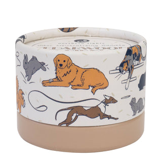PawsON Pet Odor Neutralizing Candle: Cedarwood & Birch - JSQ Mercantile