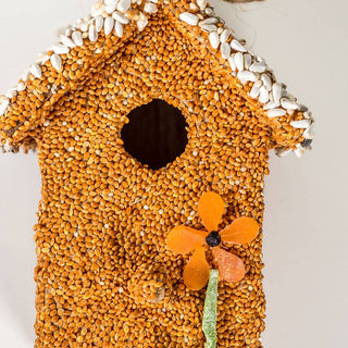 Spring Fruit Cottages – Decorative Bird Seed Houses (Assorted Styles)