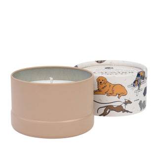 PawsON Pet Odor Neutralizing Candle: Cedarwood & Birch - JSQ Mercantile