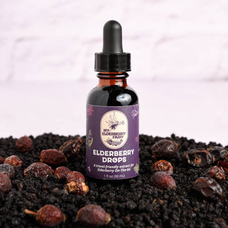 Elderberry Immune Drops 1 oz glass bottle with dropper made from organic Sambucus nigra for seasonal wellness – JSQ Mercantile – a women’s boutique and gift shop in La Grange, IL.