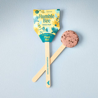 Pollinator Seed Pops - 18 Pk + Display - JSQ Mercantile