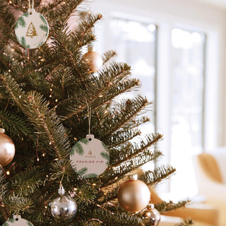 Frasier Fir Air Freshener - JSQ Mercantile