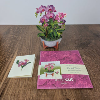 Mini Orchid Oasis Pop Up Greeting Card