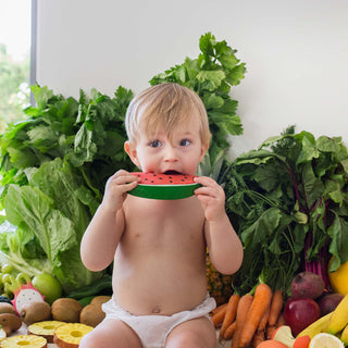 Wally the Watermelon Baby Teether - JSQ Mercantile