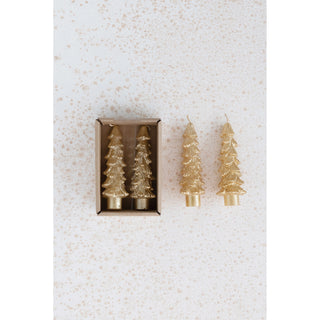 Unscented Tree Shaped Taper Candles In Box - JSQ Mercantile
