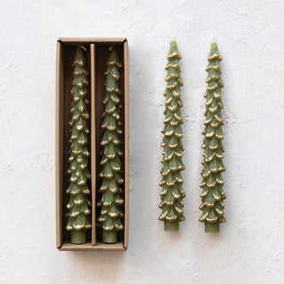 Unscented Tree Shaped Taper Candles w/ Gold Tips in Box - JSQ Mercantile